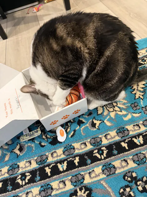 catbox