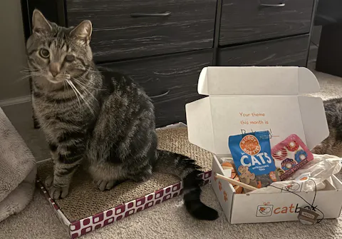 catbox