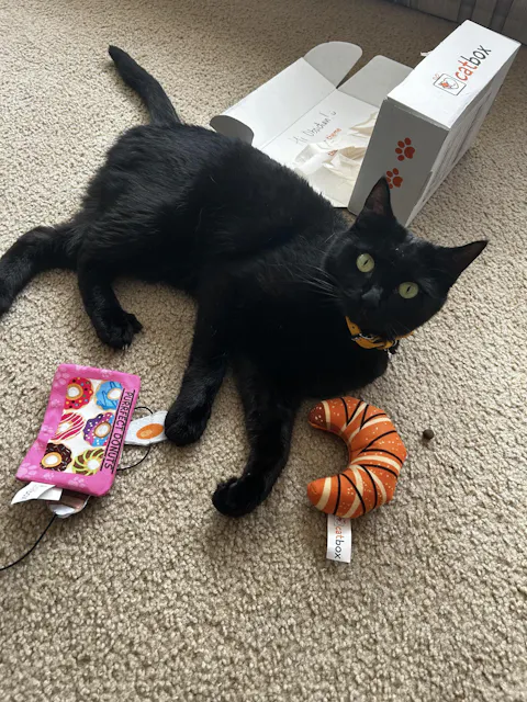 catbox