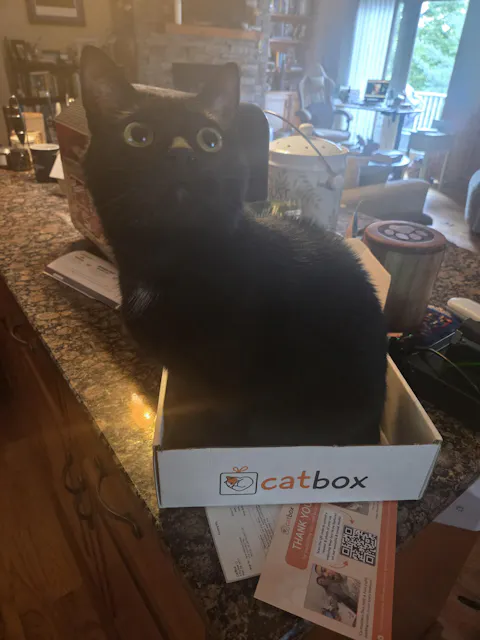 catbox