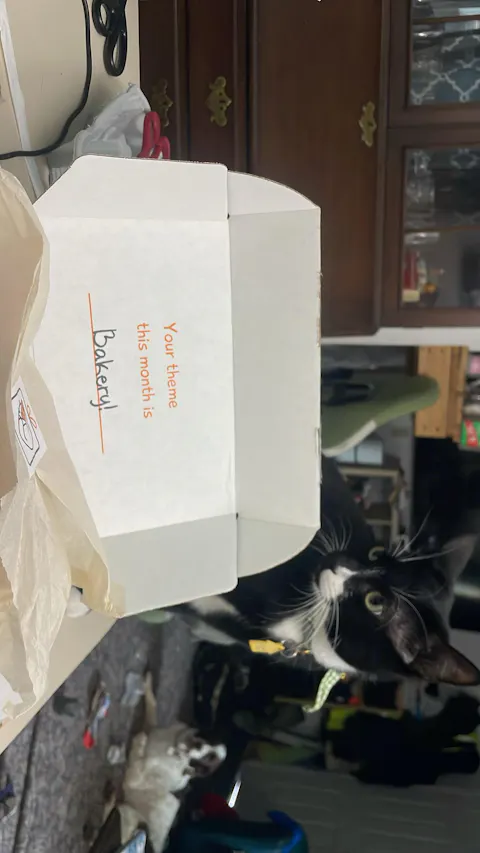 catbox