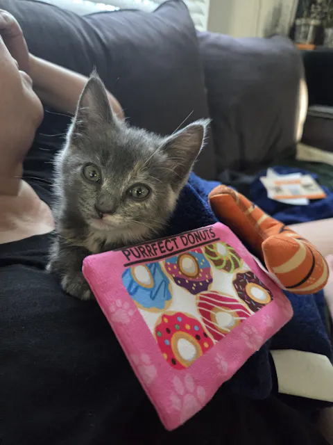 catbox