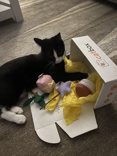 catbox
