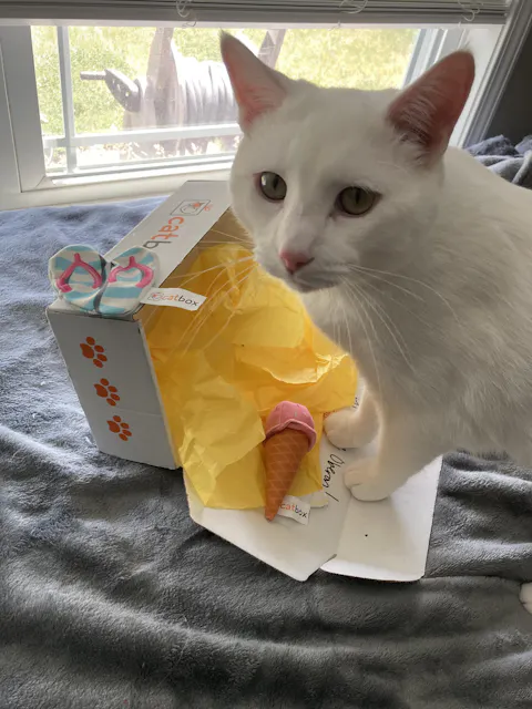 catbox
