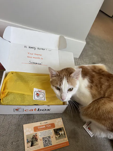 catbox