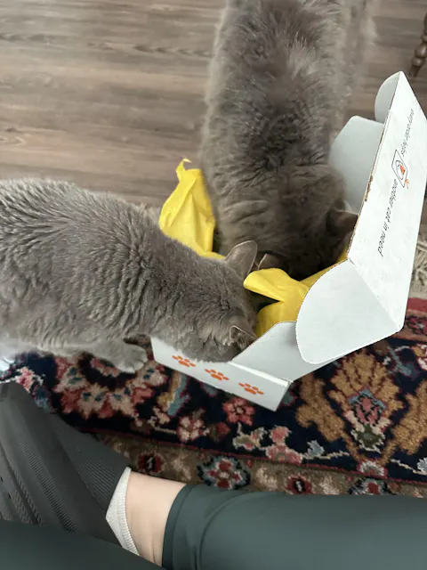 catbox