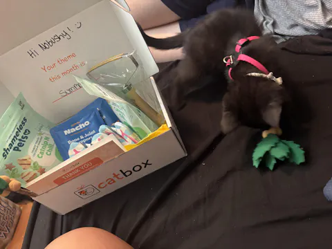 catbox
