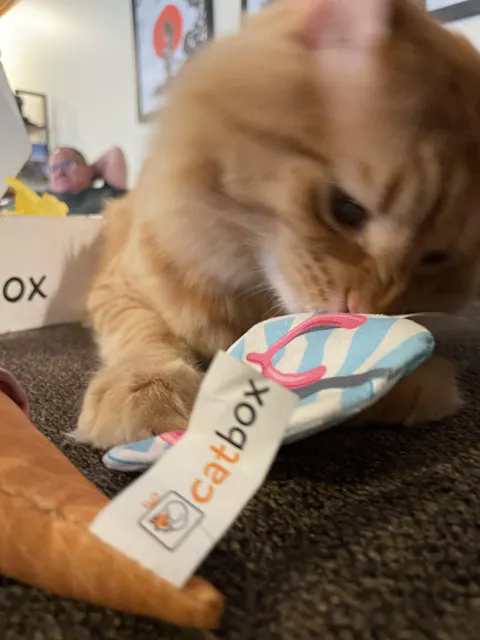 catbox