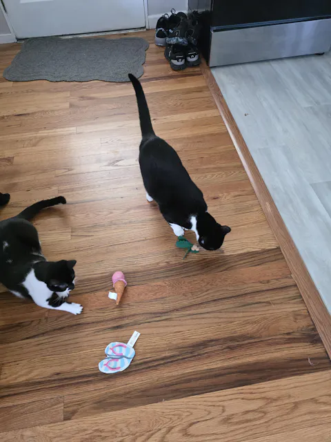 catbox