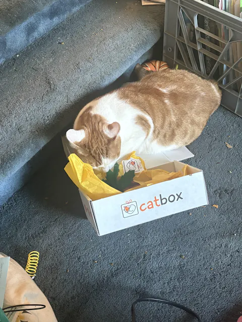 catbox