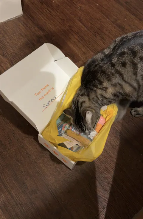 catbox