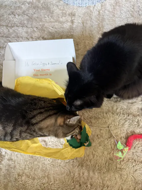catbox