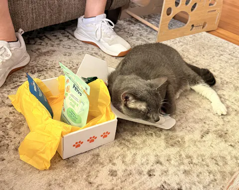 catbox