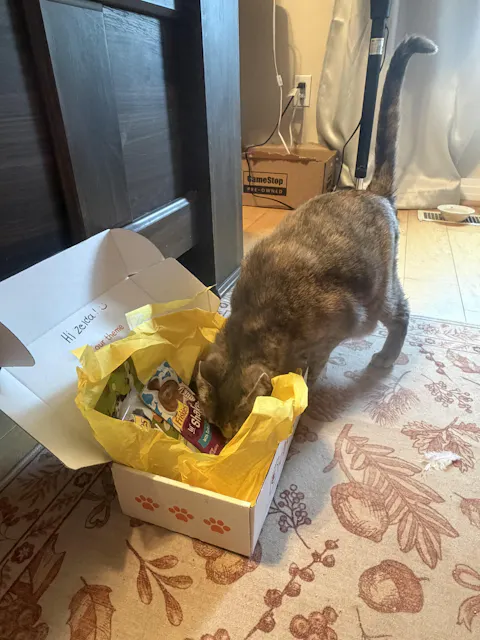 catbox