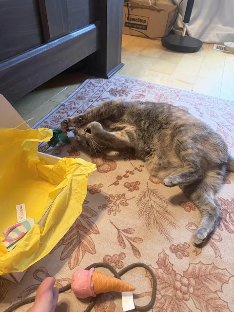 catbox