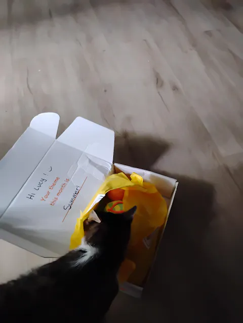 catbox
