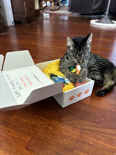 catbox