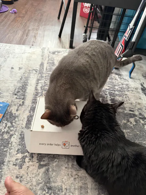 CatBox
