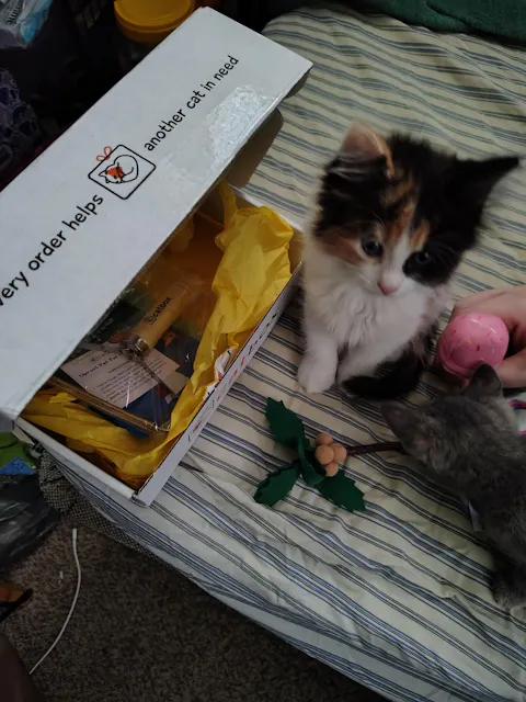 catbox