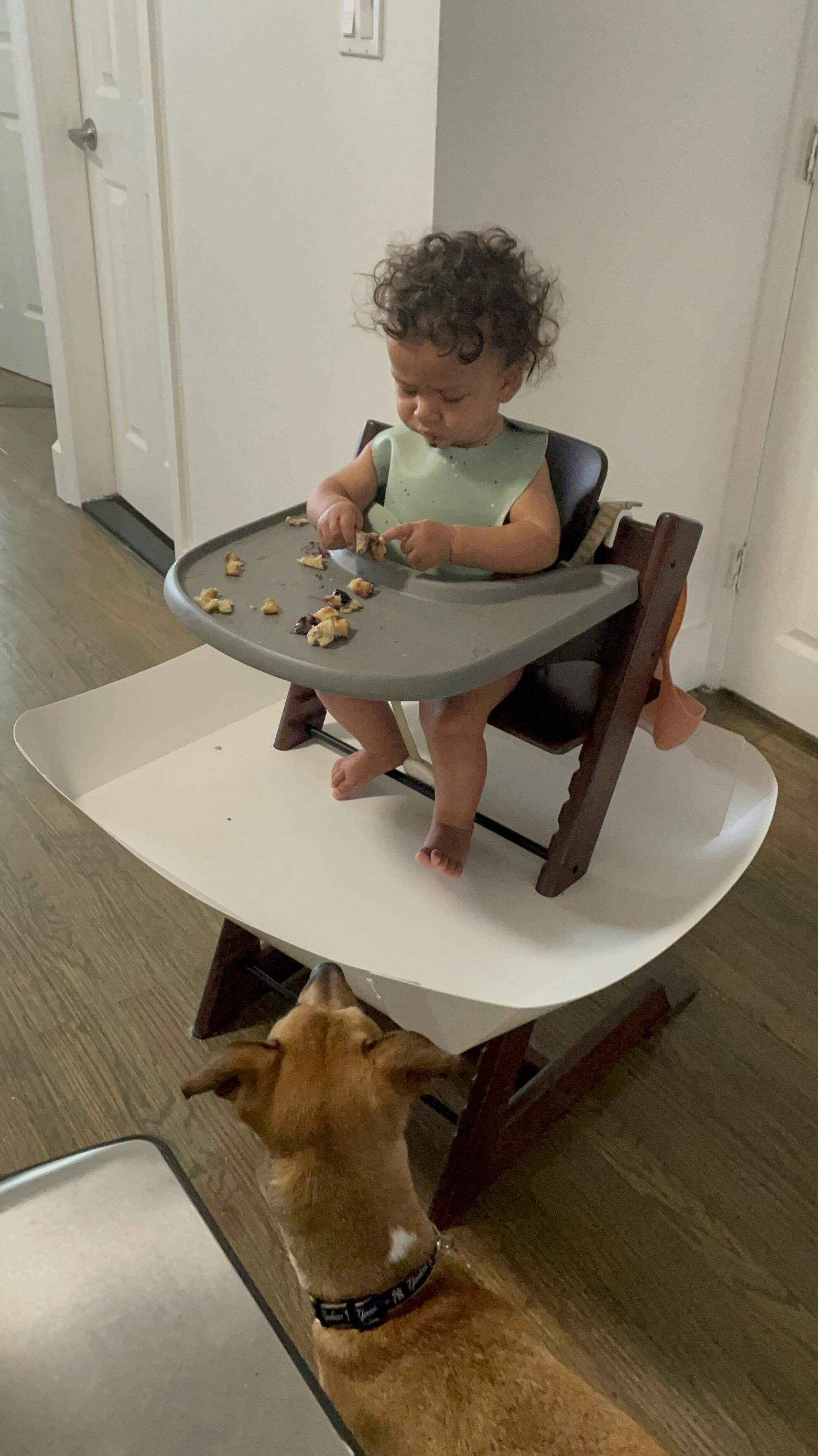 CATCHY - The food and mess catcher for high chairs – Catchy