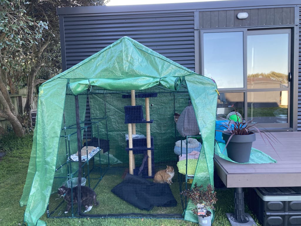 Cat Netting (bythemetre) Black Cat Nets