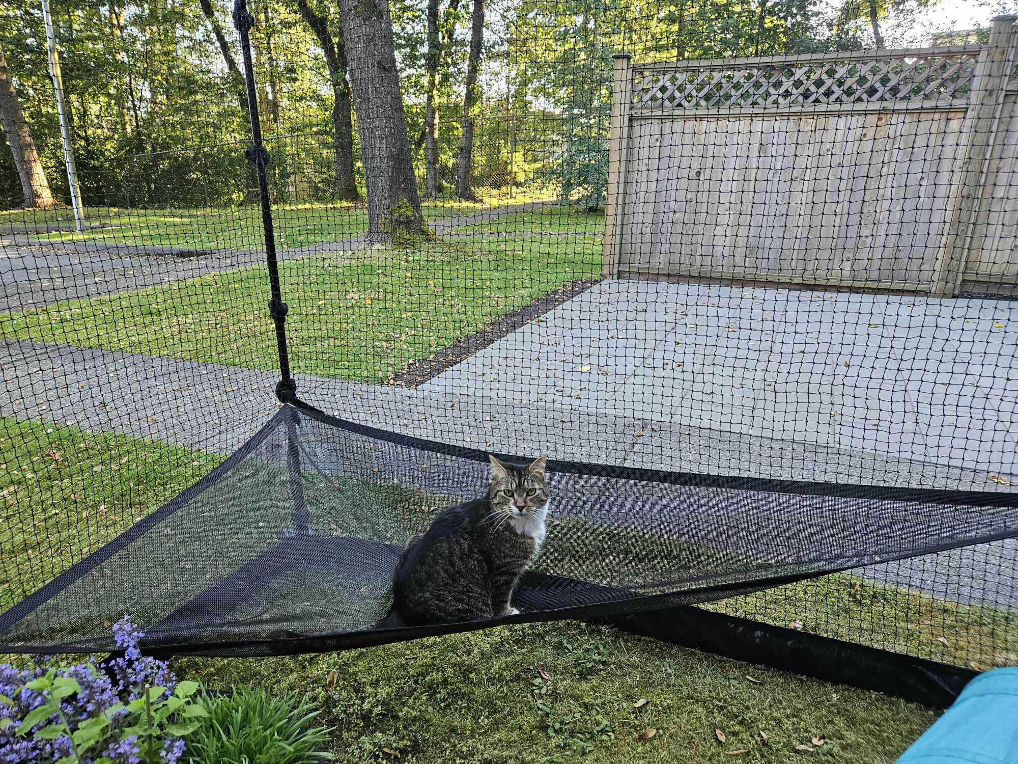 Premium Portable Catio 118 Catnetting