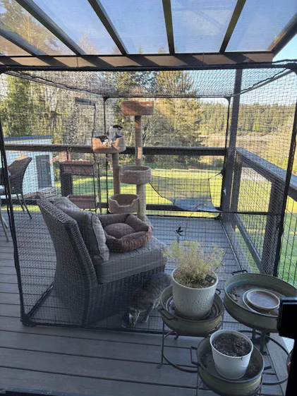 Mid-Size Classic Portable Catio 8'2