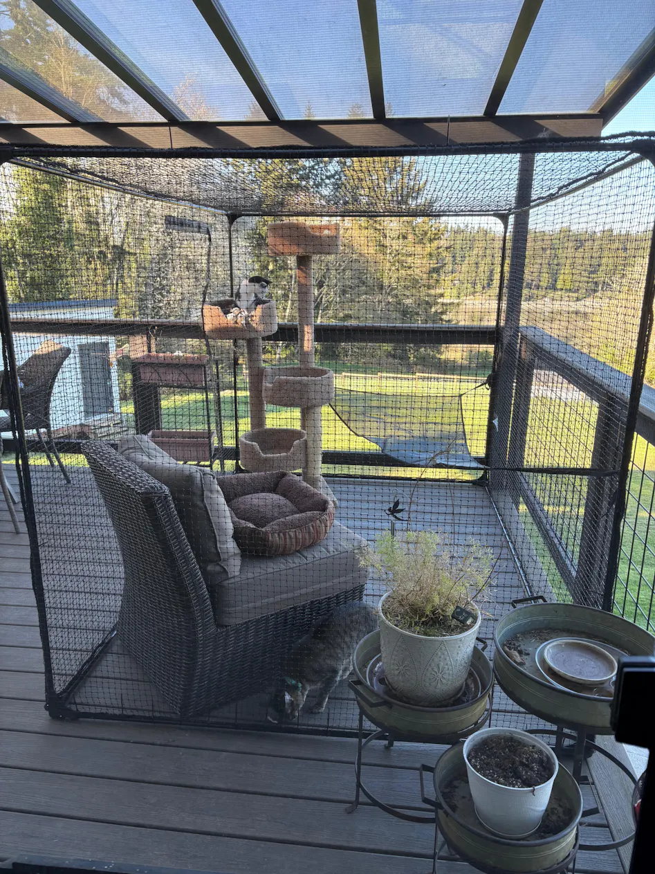 Mid-Size Classic Portable Catio 8'2