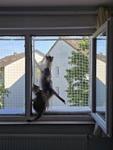 Größenverstellbarer Katzenbalkon für Fensteröffnungen