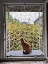 Größenverstellbarer Katzenbalkon für Fensteröffnungen