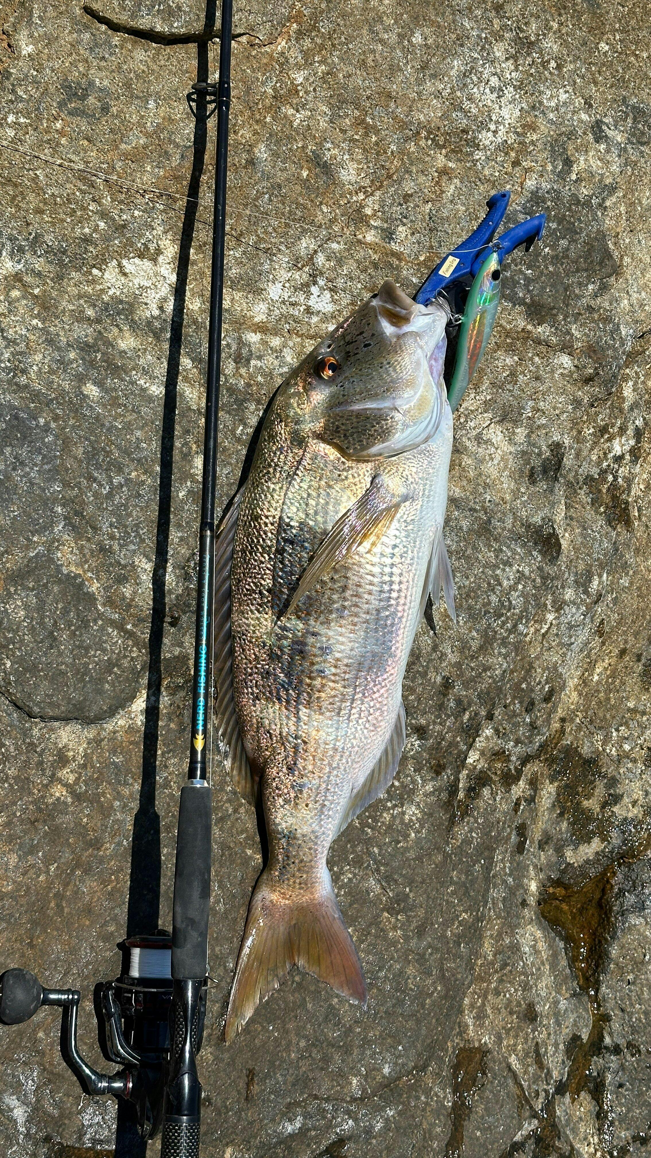 Current Killer Stickbait – CAVY FISHING