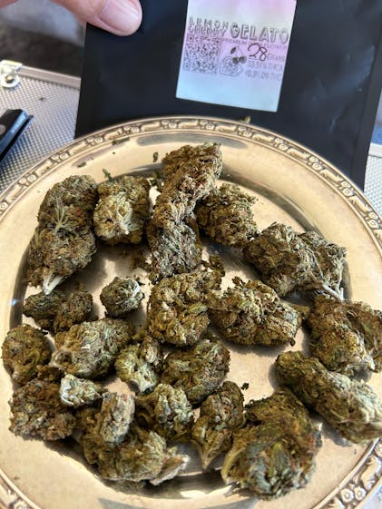 THCa Flower - Lemon Cherry Gelato - CBD Hemp Direct