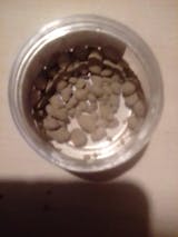 Εικόνα χρήστη