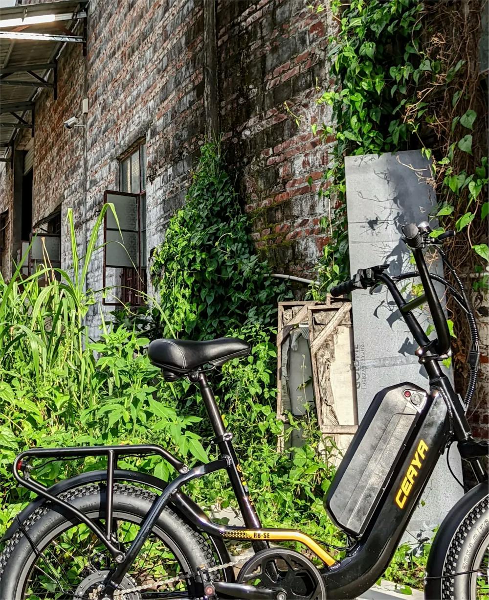 CEAYA Electric Bike R8SE