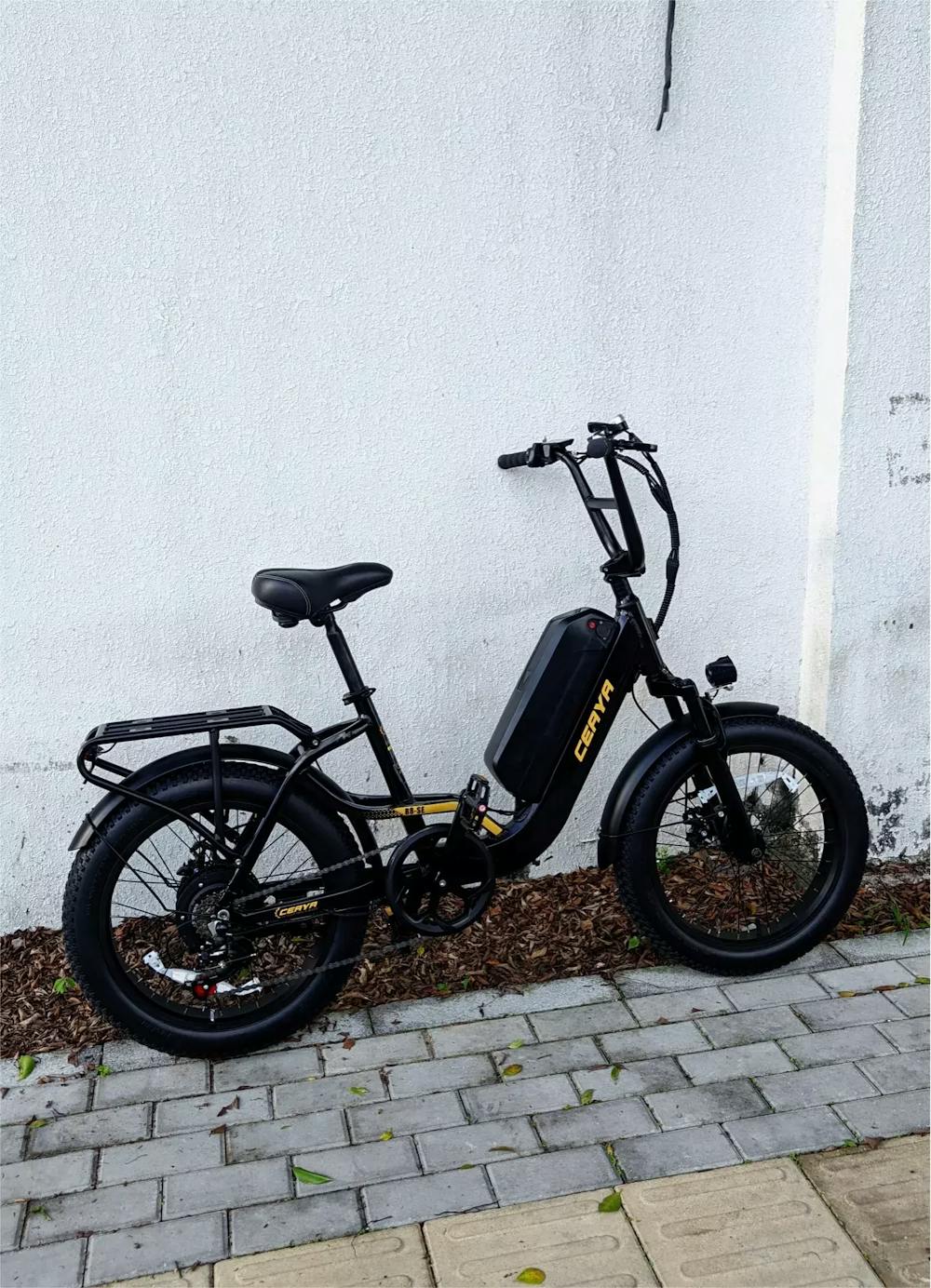CEAYA Electric Bike R8SE