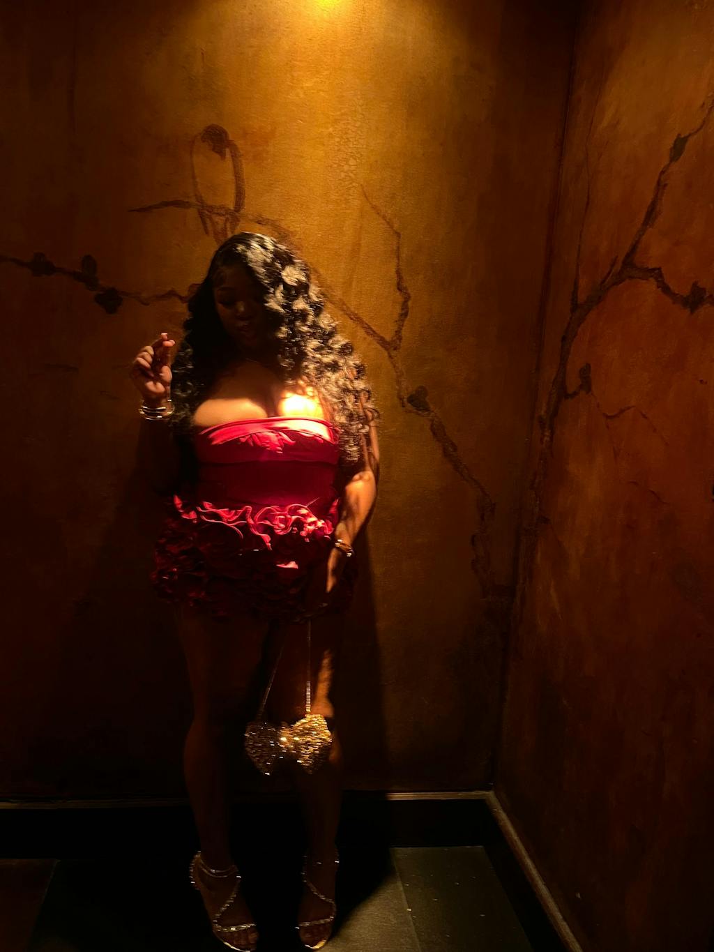 SCARLETTE Corset & Rose Mini Dress Set