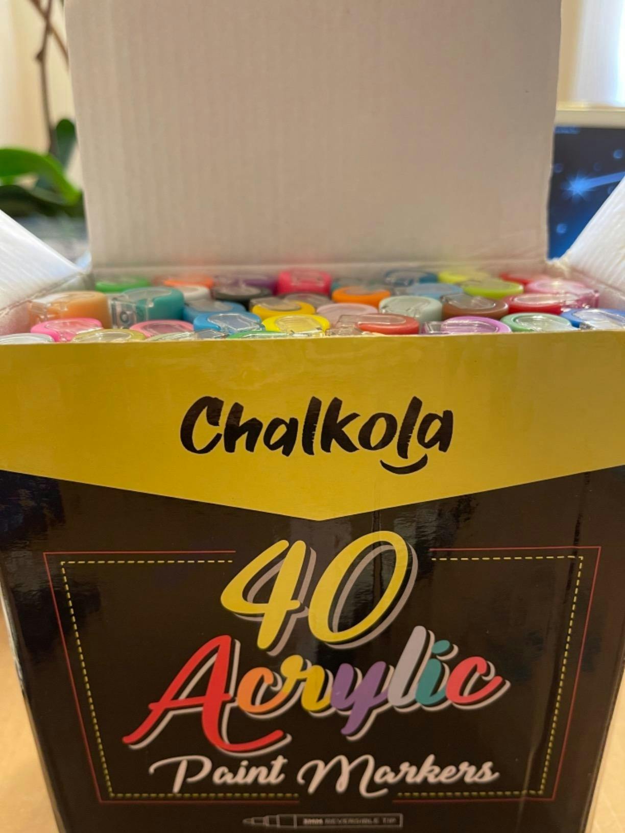 Chalkola 40 Acrylic Paint Pens Fine Tip for Rock Painting, Canvas, Ceramic,  Glass, Fabric, Metal - Acrylic Paint Markers for Wood & Plastic - 40