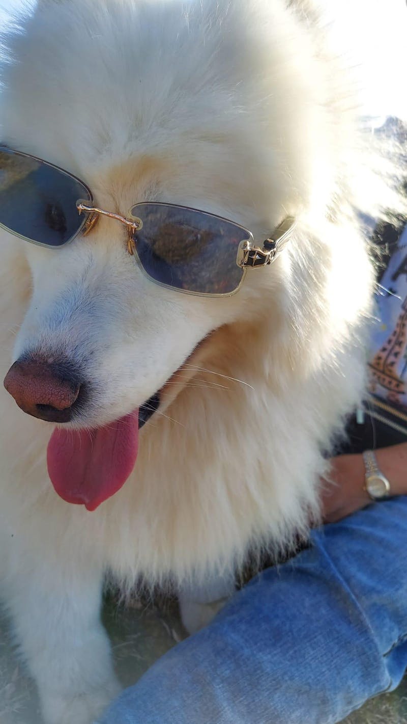 Lunettes au quotidien