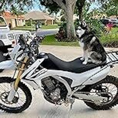 10mm Pair Rearview Mirror For Honda NC700/NC750 12-16 CB1000R CRF1000L 2016