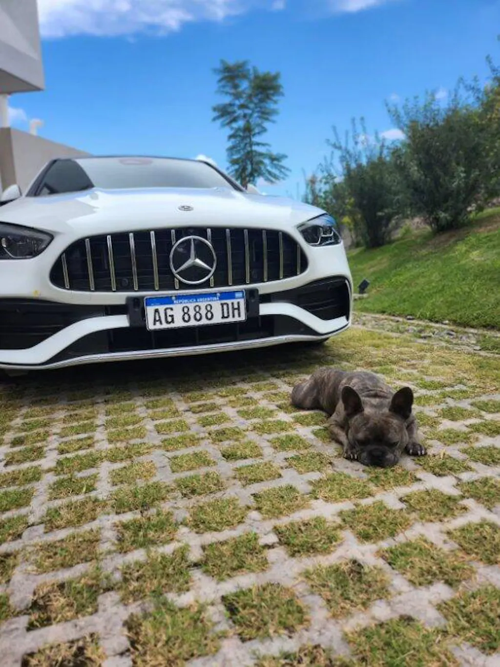 2008-2014 Mercedes Benz C-Class W204 Diamond Front Grill Replacement Chrome Grille With LED Star Emblem