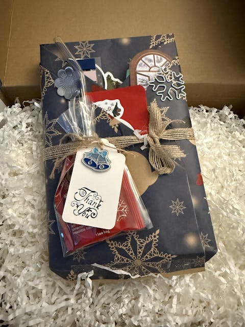 MARCH Book Club Blind Date with a Book Bundle - Thriller