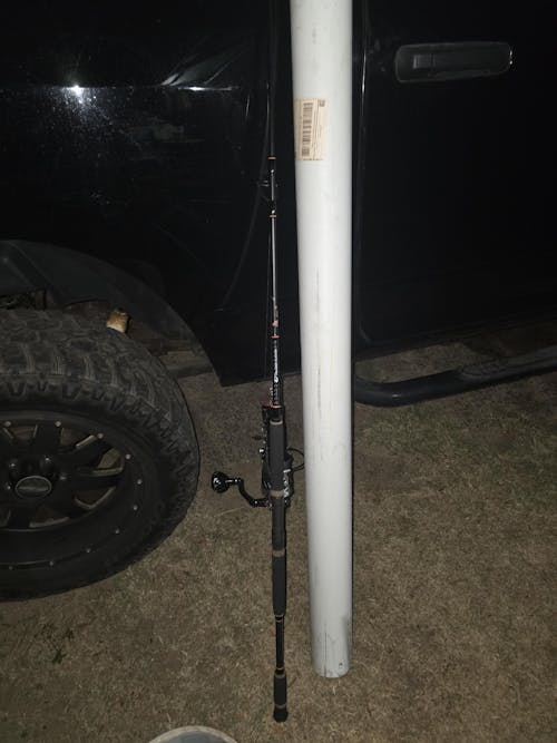 CharkBait!