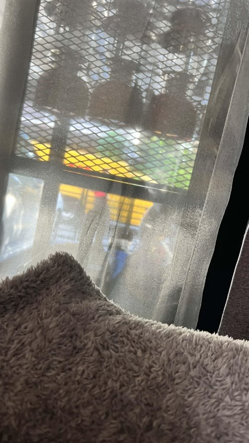 Avet SXJ G2 5.3 MC Single Speed Reels