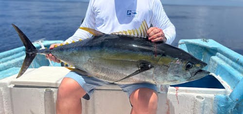 Braid Type (300 yards)