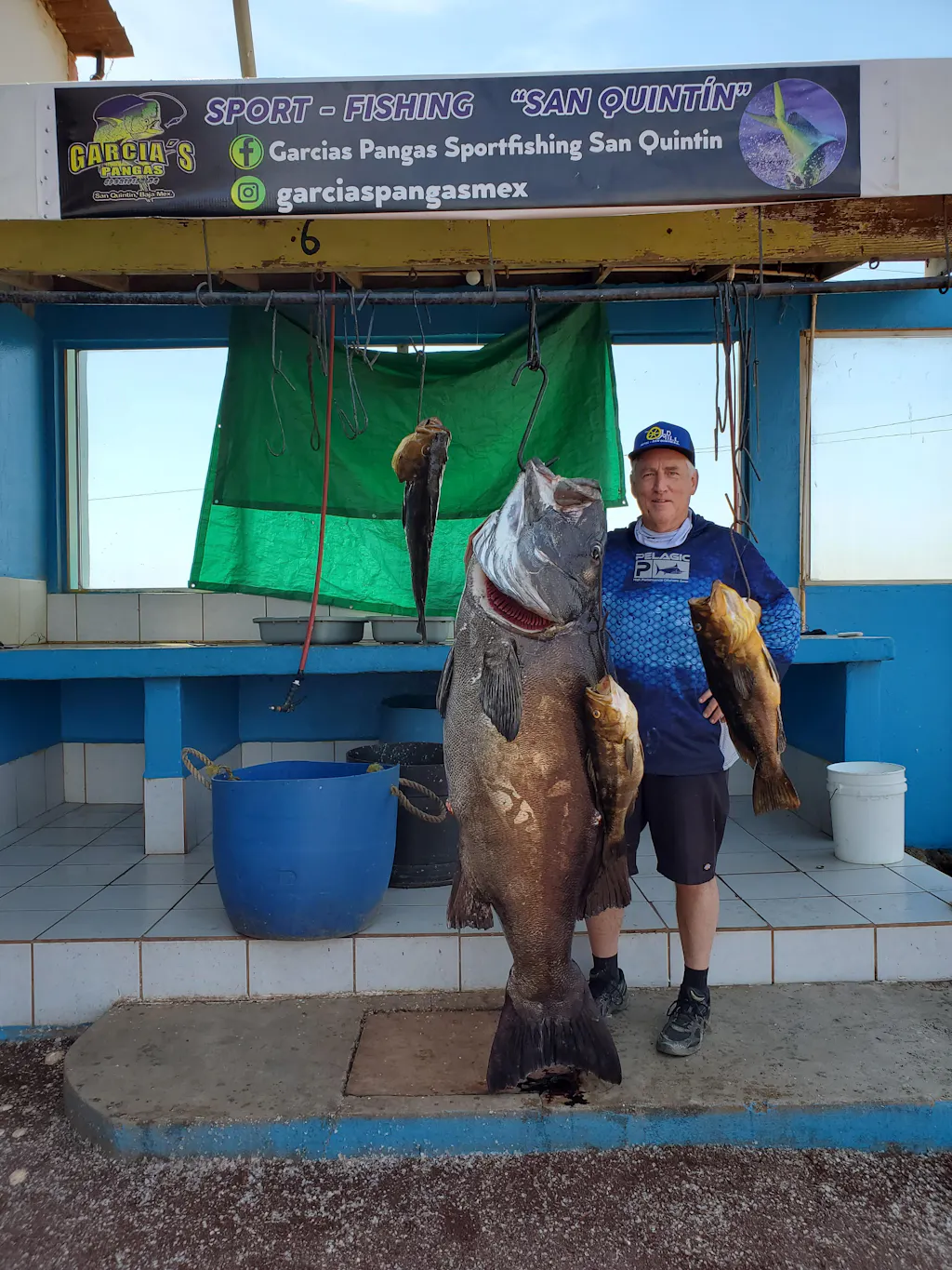 Charkbait Reel Covers