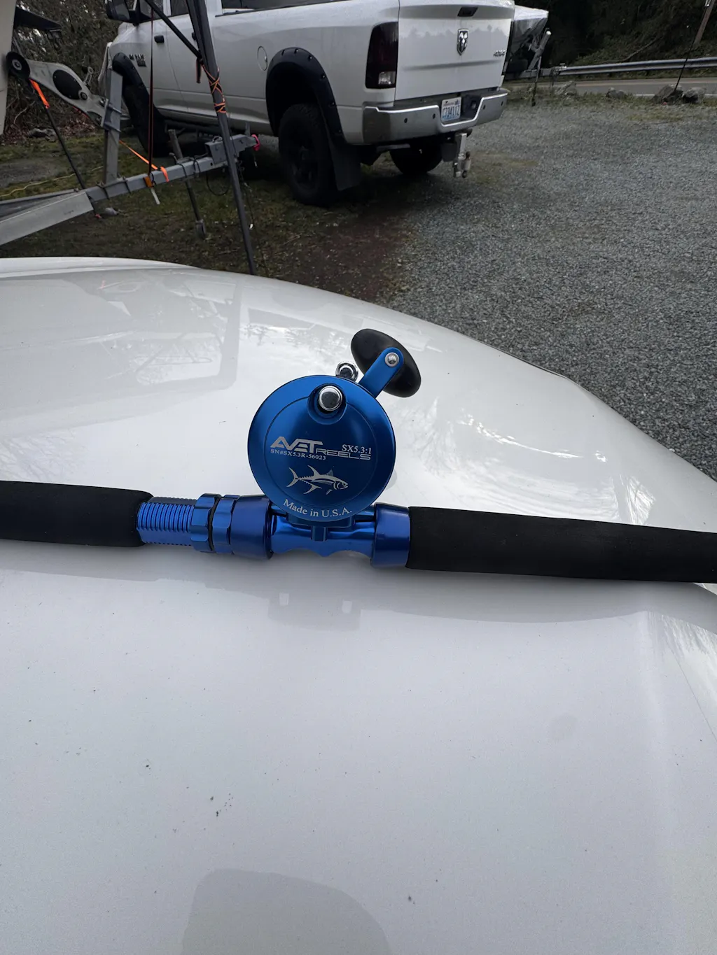 Avet Classic SX 5.3 Single Speed Reels