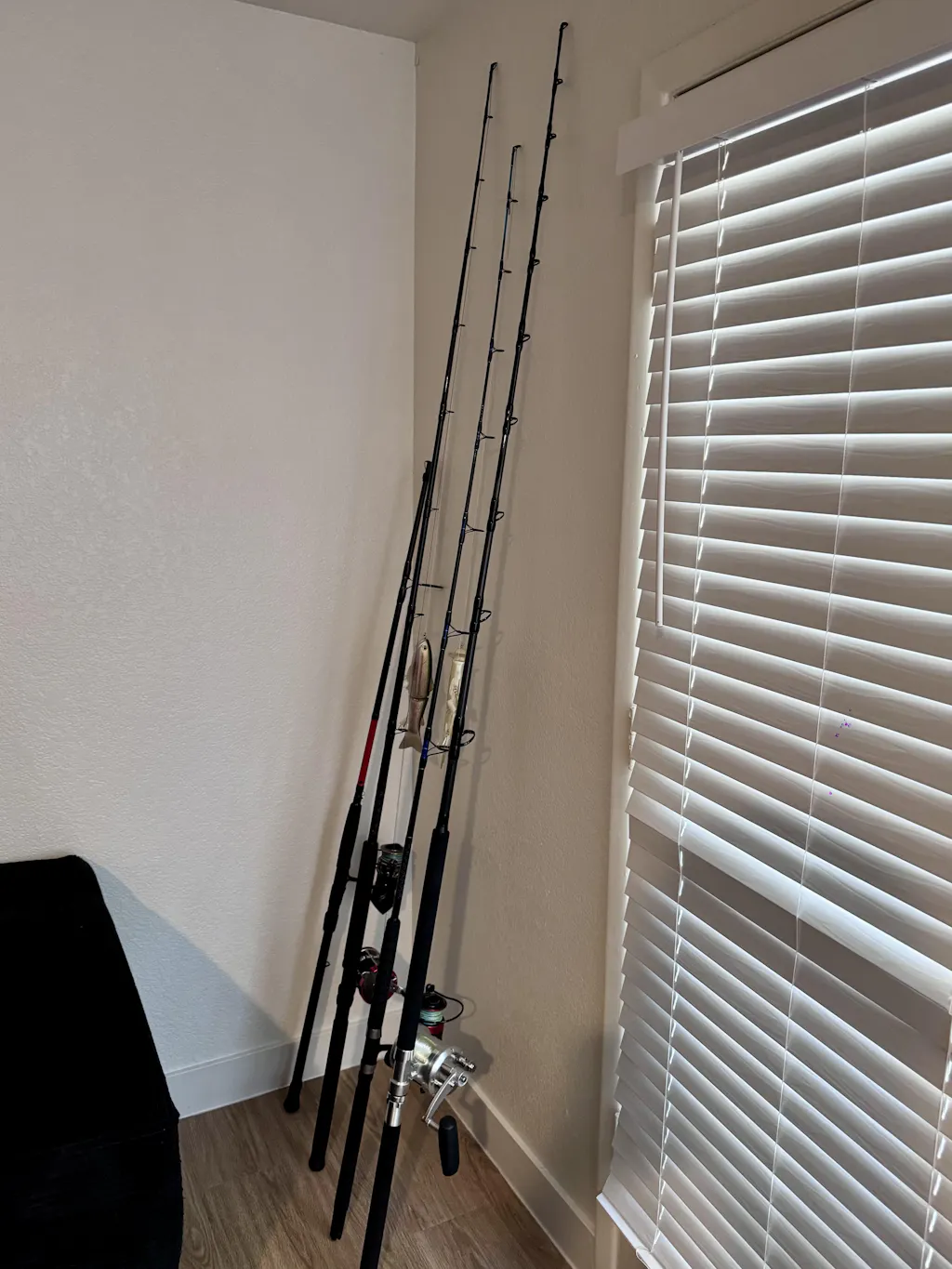 Avet Pro EXW 30/2 Wide Two Speed Reels