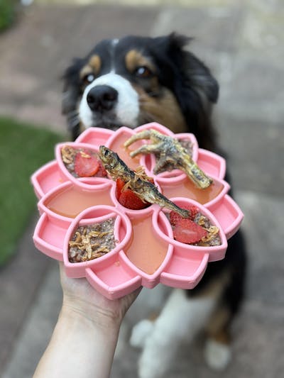 SodaPup Mandala "Softie" Etray Enrichment Dog Tray