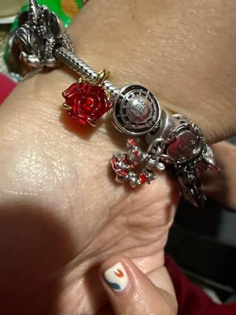 Charm Rosa Bella y la Bestia