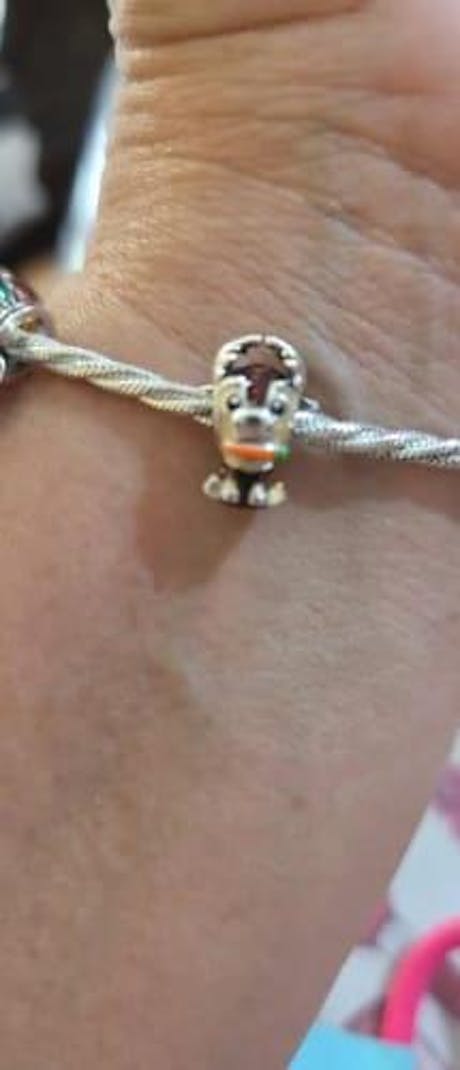 Charm Sven Reno Frozen